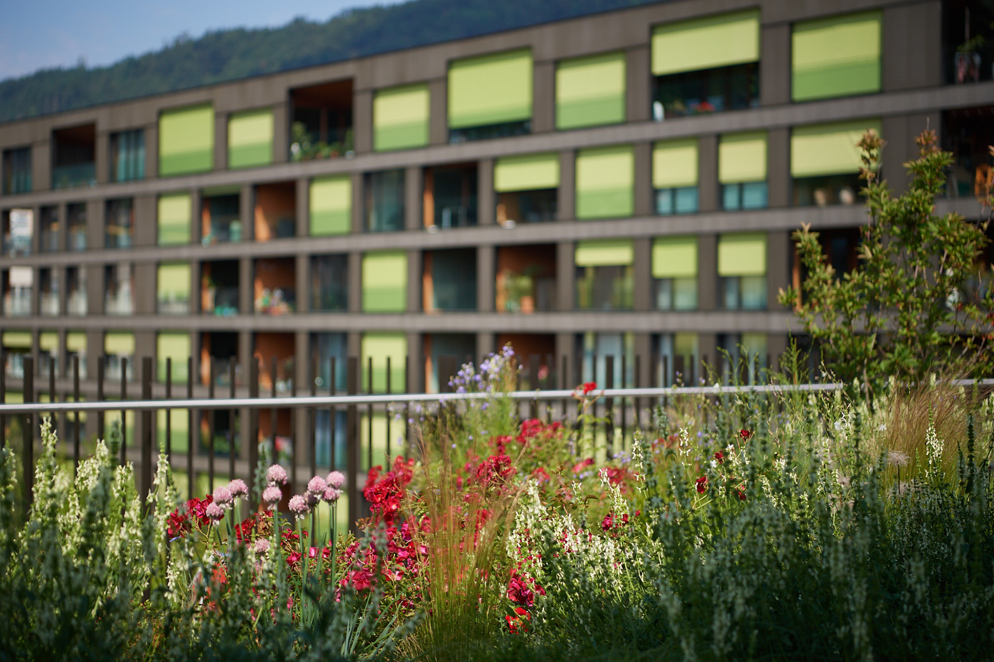 2023spitex_kriens1014